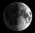 Half Waxed Moon.jpg
