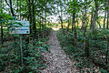 * Nomination Foot path to the water reservoir in the Nature reserve “Seebucht Hohe Niemen”, Haltern am See, Germany --XRay 06:35, 26 July 2014 (UTC) * Decline Too significant overexposure, futhermore the composition guides to it, drawing even more attention. Not a QI to me, sorry --Poco a poco 12:38, 26 July 2014 (UTC)