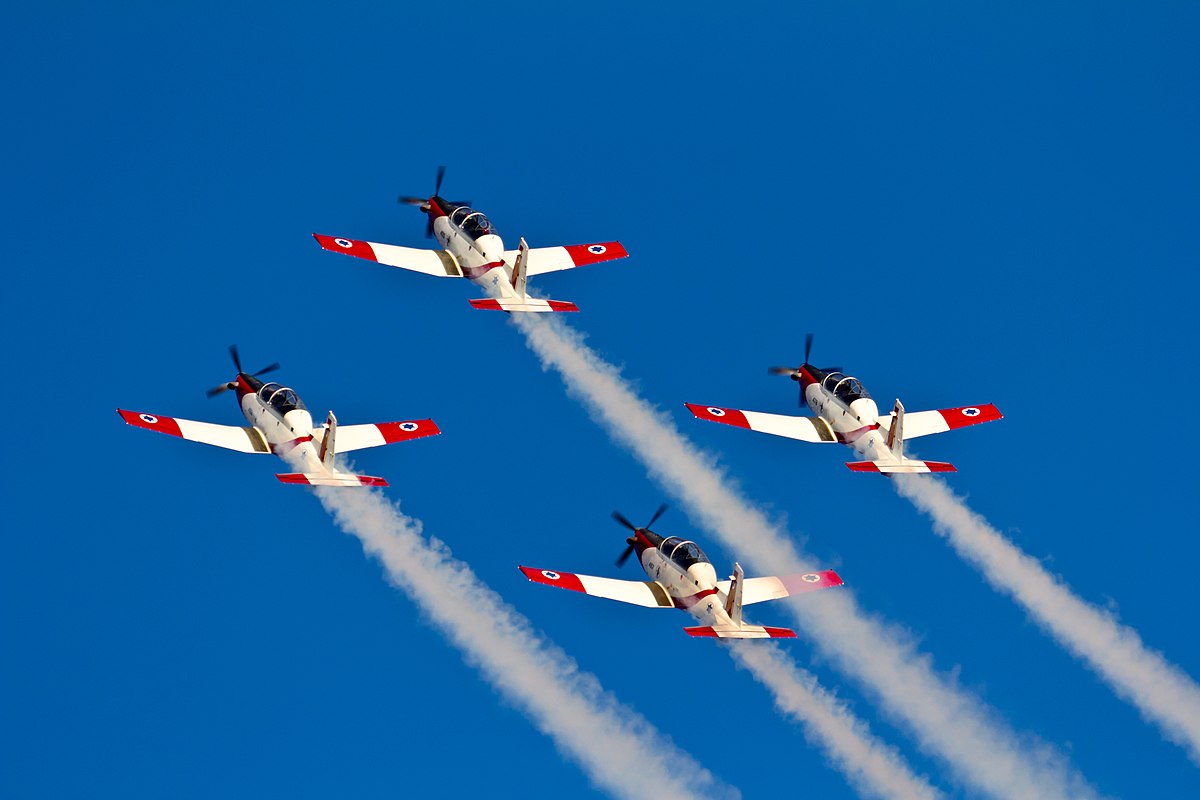 puma aerobatic team