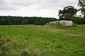 Hay bales near Runt's wood - geograph.org.uk - 714026.jpg
