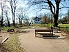 Rotbuche im Heinepark (2017)