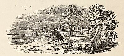 Fig. 66.—The Broken Boat. From Bewick’s “British Birds.”