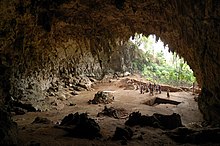 Mouth of the Liang Bua cave where L. robustus was discovered Homo floresiensis cave.jpg