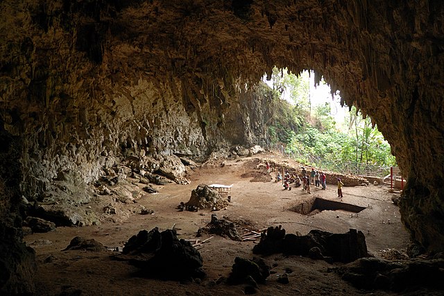 Liang Bua Cave, where the specimens were discovered