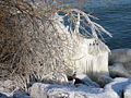 Ice at the Lake Constance, Switzerland (by Filzstift)