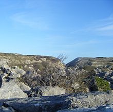 Part of Tout Quarry's landscape Isle of Portland Tout Quarry Landscape.jpg