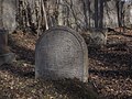 * Nomination Jewish cemetery in Hranice, Czech Republic --T.Bednarz 13:35, 16 March 2018 (UTC) * Decline Disturbing artifacts. Sorry. --Ermell 13:59, 16 March 2018 (UTC)