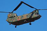 JGSDF CH-47J 20120108-02.jpg