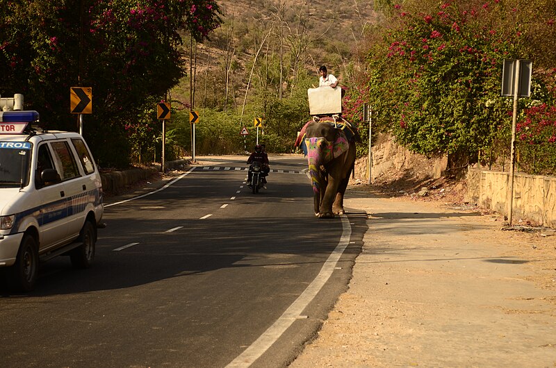 File:Jaipur (Rajastão), RTW 2012 (8408006275).jpg