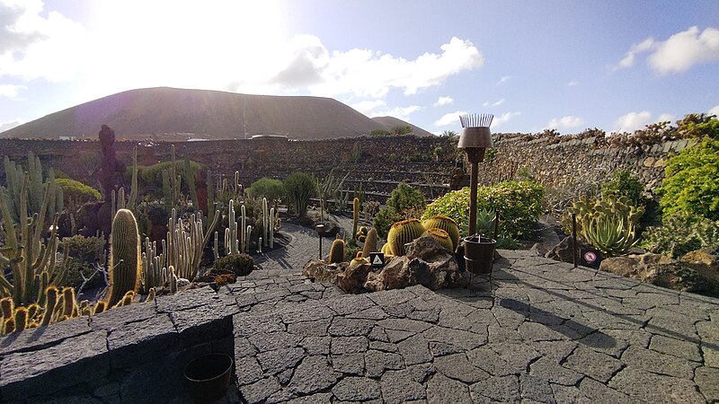 File:Jardin de Cactus (09-2021) 16.jpg