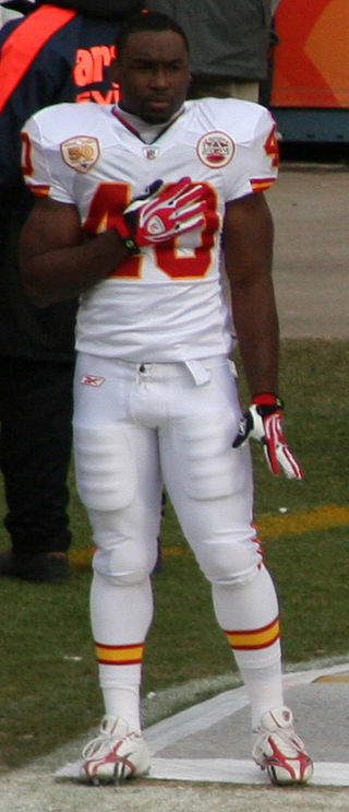 <span class="mw-page-title-main">Javarris Williams</span> American football player (born 1986)