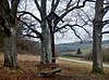 Jesus cross near Dätzingen - panoramio.jpg