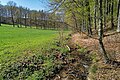 Auenlandschaft kurz hinter Schwosdorf (Blick Richtung Schwosdorf)