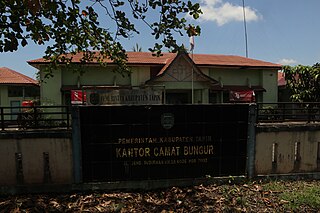 <span class="mw-page-title-main">Tapin Regency</span> Regency in South Kalimantan, Indonesia