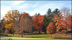 Kenilworth Park in the Fall.jpg