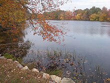 Mill pond in Usquepaug Kenyon's Grist Mill Pond in Usquepaug, Rhode Island Richmond RI.jpg