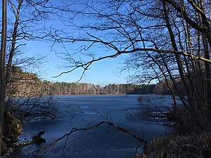 Small clay pond view to the northwest.jpg