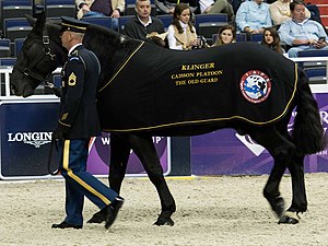 Klinger horse US Army (cropped).jpg