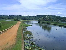 Kollad kalathilkadavu, граница на град Kottayam - panoramio.jpg