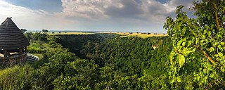 <span class="mw-page-title-main">Kyambura Game Reserve</span>