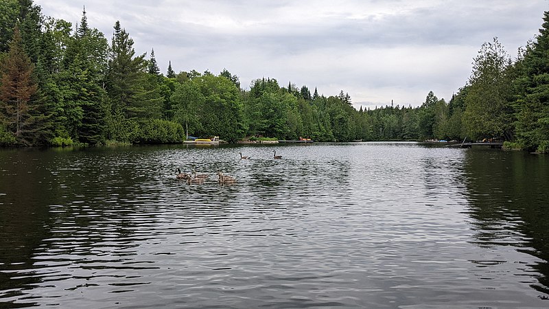 File:Lac à la truite (Saint-Adolphe-d'Howard).jpg