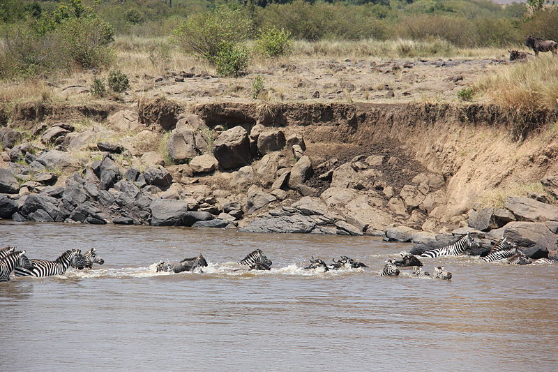 File:Laika ac River Crossing (9682973826).jpg