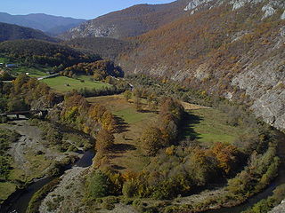 Rzav (Drina) river in Bosnia and Herzegovina