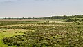 * Nomination Stream valley landscape of the Lende valley. Swamp vegetation and biotope. --Agnes Monkelbaan 04:21, 29 June 2023 (UTC) * Promotion  Support Good quality -- Johann Jaritz 04:23, 29 June 2023 (UTC)