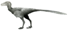 Restoration Life reconstruction of Stenonychosaurus.png