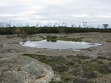 Lilian Stokes Rockpools 1 FHNP V-2010.jpg