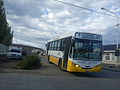 Unidad de la Línea D (Autobuses Caleta Olivia).
