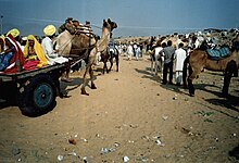 Αρχείο:Local_villagers_arriving_at_the_Pushkar_Fair..jpg