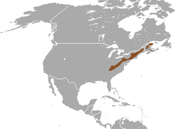 Long-tailed Shrew area.png