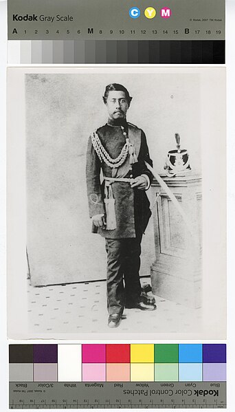 File:Lunalilo in uniform (PP-98-15-014, original).jpg