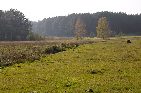 Mühlenfließ–Sägebach