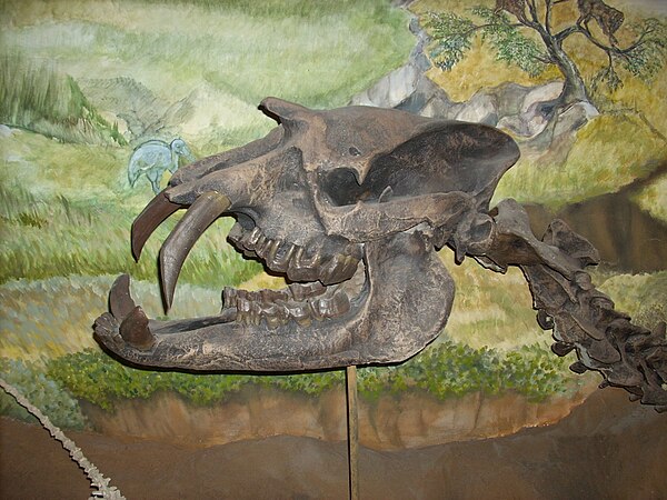 Image: MEF Astrapotherium