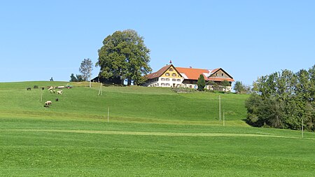 Maierhöfen Birkach Nr 1 v S