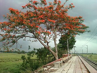 Maju Railway Station, Maju, Howrah, West Bengal, India.jpg