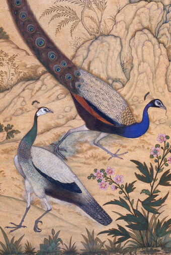 Illustration by the 17th-century Mughal artist Ustad Mansur