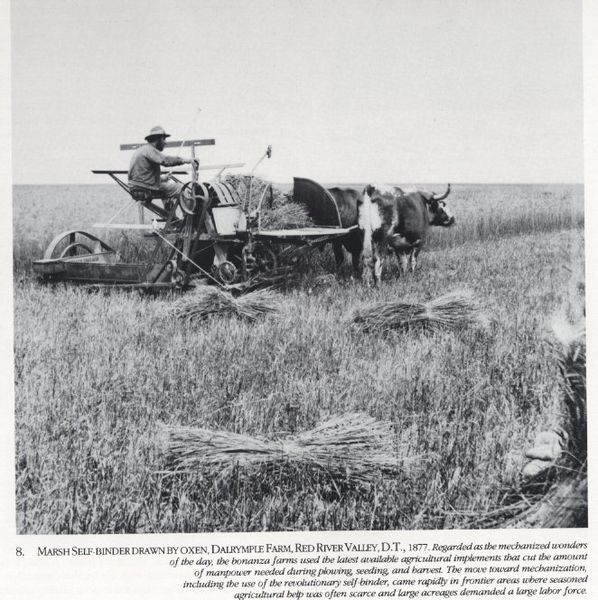 Marsh Self Binder at work on the Dalrymple Farm, 1877