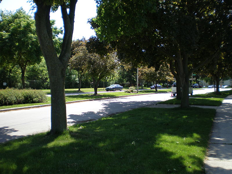 File:Martin Drive with Trees.JPG