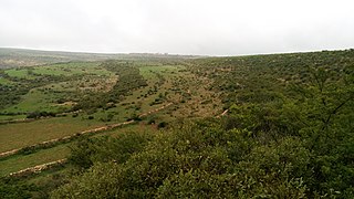 <span class="mw-page-title-main">May Genet (exclosure)</span> Exclosure for woodland restoration in Ethiopia