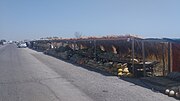 Thumbnail for File:Melons on the Toshkent-Jizzakh road 9.jpg