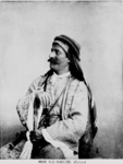المير على حرفوش أمير من بعلبك، لبنان، عام1896م، تزوج ولم يعقب.