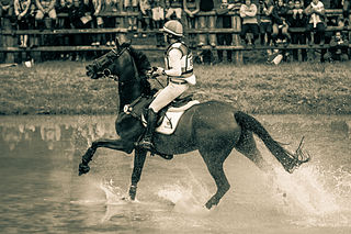<span class="mw-page-title-main">Merel Blom</span> Dutch Olympic eventing rider