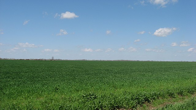 A typical Bootheel scene: the Mississippi floodplain in southern Pemiscot County