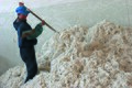 Mongolian factory worker with cashmere.jpg