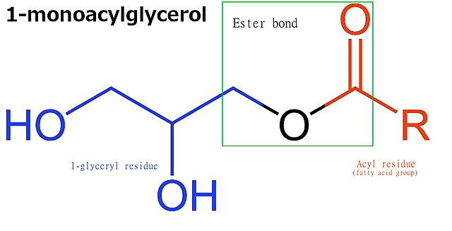 ester bond