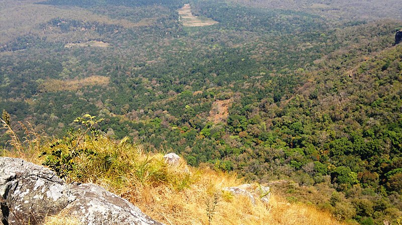 File:Mudumalai Views from Needle Rock View Point, Gudalur - panoramio.jpg