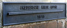 Zdjęcie pruskiego ogiera półbiegunowego.